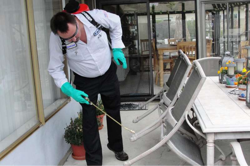best home pest control in Madrid