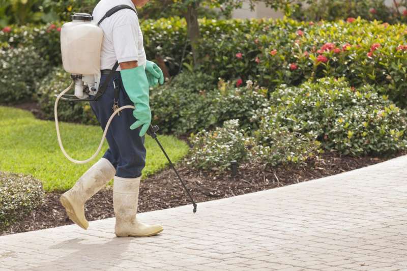 effective pest control in Madisonville
