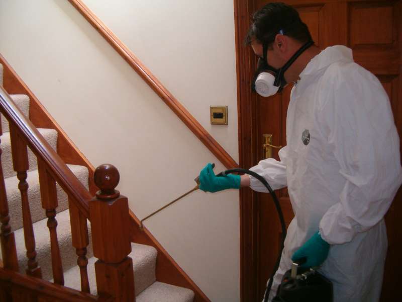 pest management services in Fayetteville