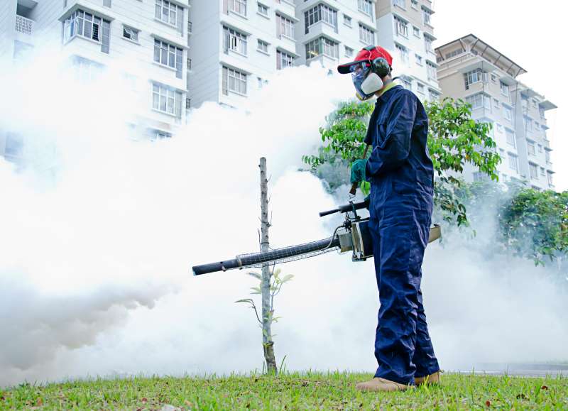 professional pest control services in Joppa