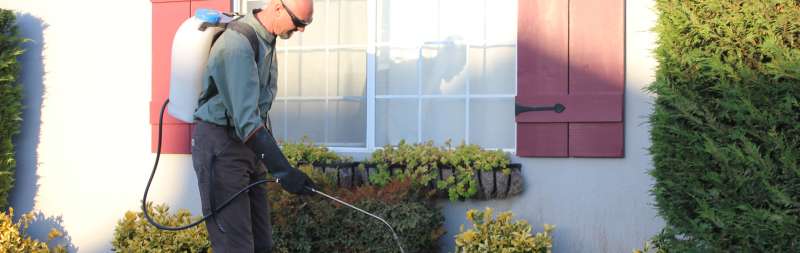 pest services company in Bluff Park