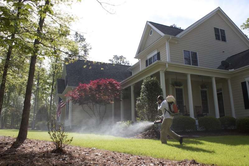 effective pest control in Holly Springs