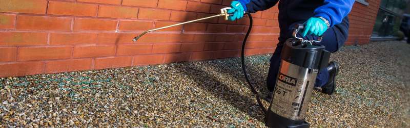effective pest control in Seaboard