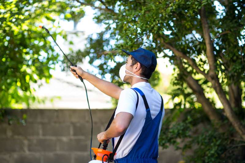 professional pest control products in Montevallo