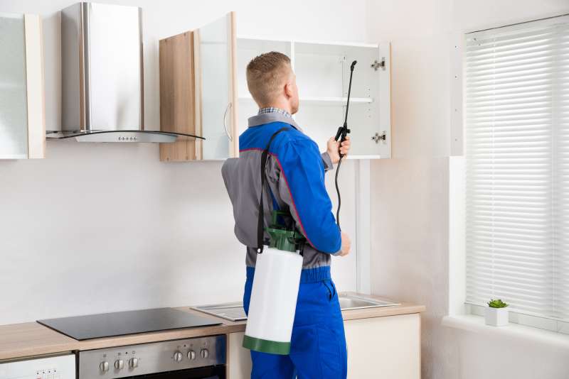 emergency pest control services in Leeds