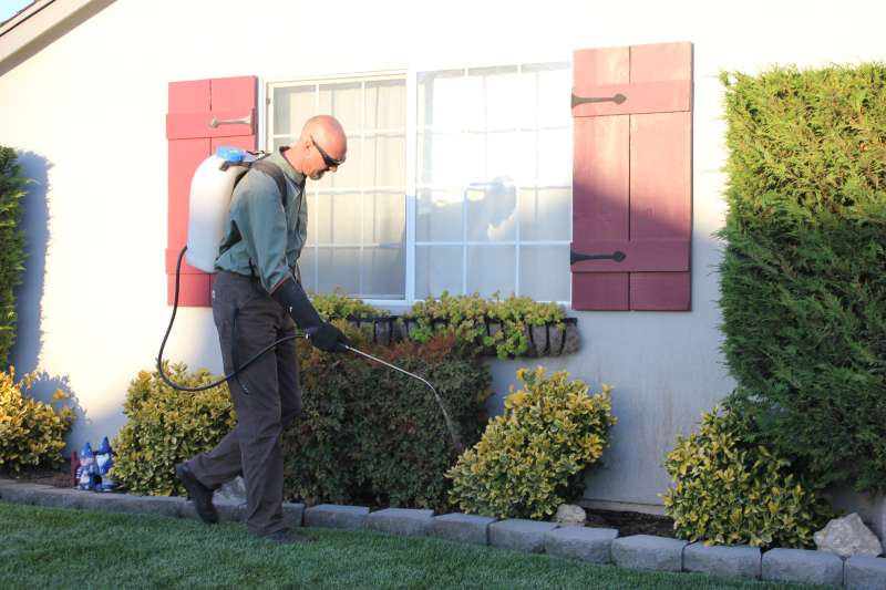 pest services in Enville