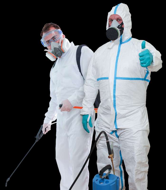 emergency pest control services in Wilsonville